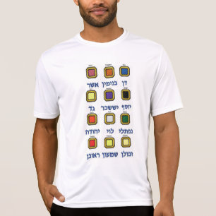 Doze (12) tribos de camiseta de Israel