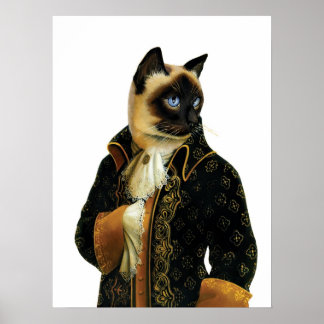 DR 041 poster de Gato Siamês