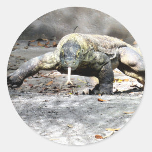 Dragão de Komodo nas etiquetas da caça