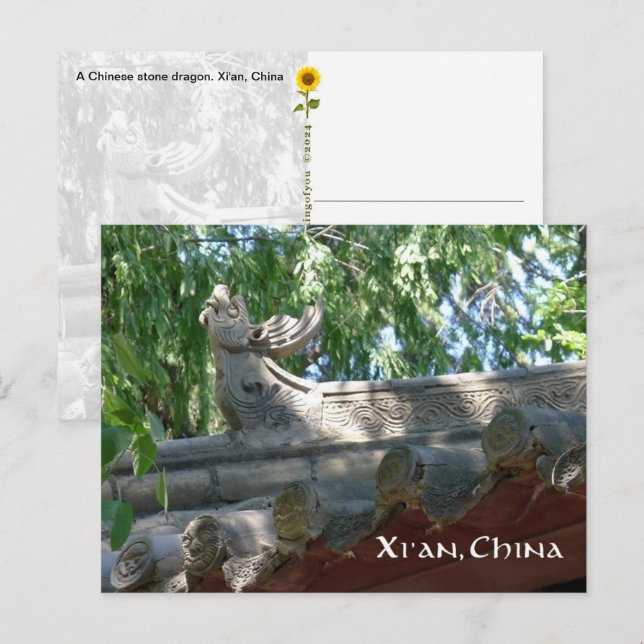 Dragão de Pedra Chinês, Xi'an, China - cartão post (Frente/Verso)