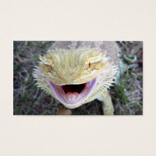 Dragão farpado feliz super
