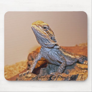 Dragão farpado Mousepad