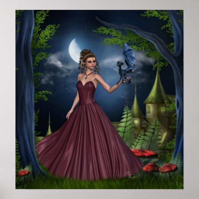 Dragão Tamer Poster (Frente)