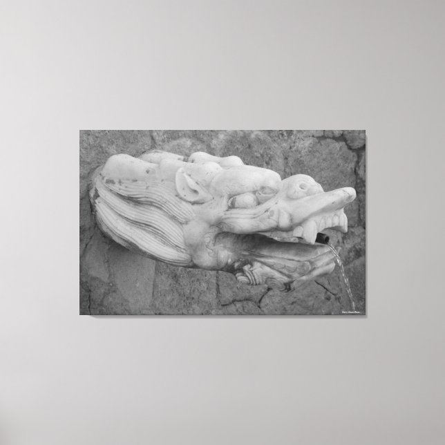 Dragon Fountain Stretch Canvas Print (Frente)