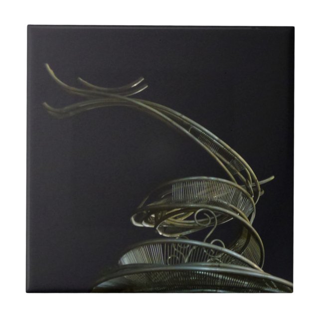 Dragon Small (4,25" x 4,25") Azulejo fotográfico c (Frente)