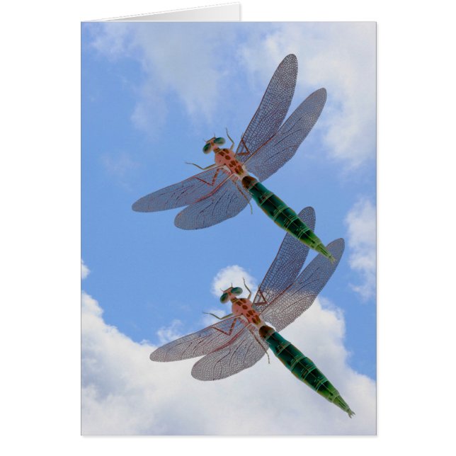 Dragonflies Blue Sky Clouds Cartão Natureza (Frente)