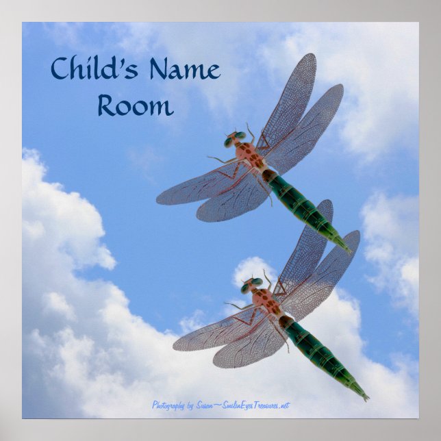 Dragonflies Blue Sky Nature Kids Room Poster (Frente)