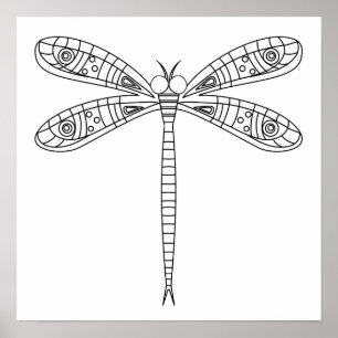 Dragonfly 1 Poster para Cor
