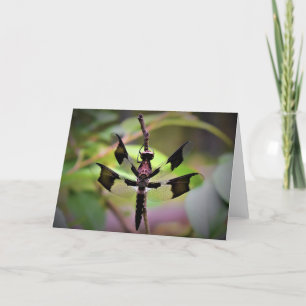 Dragonfly, cartão