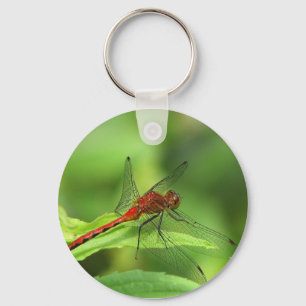 Dragonfly Chaveiro