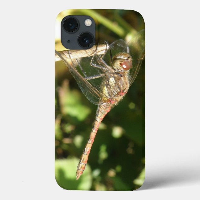 Dragonfly em um gabinete iPad Twig (Verso)