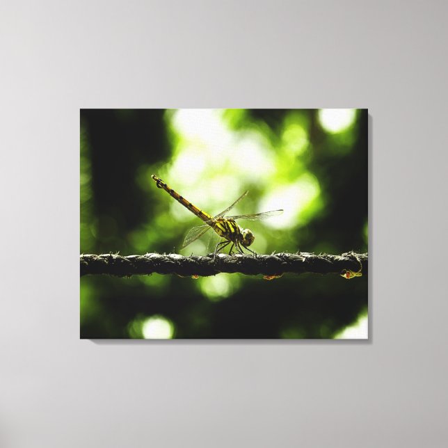 Dragonfly em verde - Canvas (Frente)
