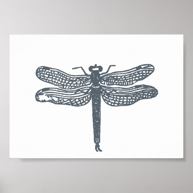 Dragonfly Grays Impressão (Frente)