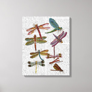 Dragonfly Impressão 4