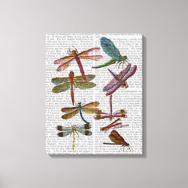 Dragonfly Impressão 4 (Frente)