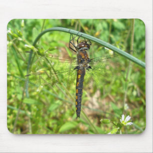 Dragonfly Mousepad Dourado Brown