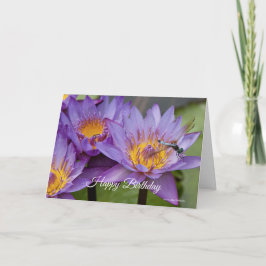 Dragonfly no cartão de aniversário da Lily