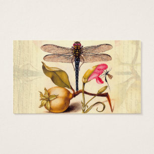 Dragonfly, Pear, Cravo e Insetos