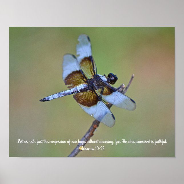 Dragonfly Scripting Art Impressão (Frente)