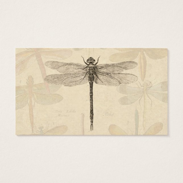 Dragonfly Vintage Desenho Clássico Antiquado (Verso)