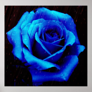 Drama Do Impressão Poster Rosa Azul