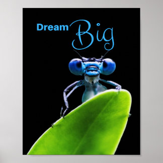 Dream Big Dragonfly Motivational Matt Poster