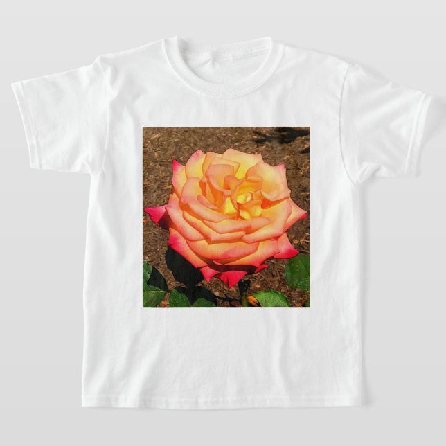 Dream come True Rosa #3 T-Shirt (Postura )