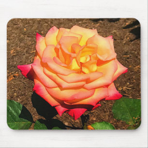 Dream come True Rosa nº 3 Mouse Pad