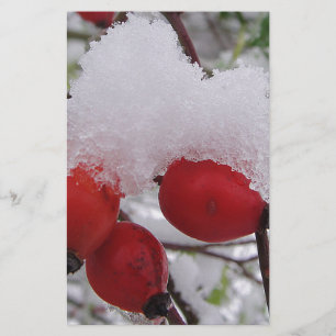 Drei Hagebutten mit Schnee