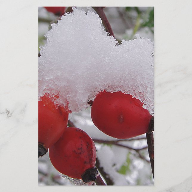 Drei Hagebutten mit Schnee (Frente)