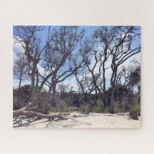 Driftwood Beach Quebra-cabeça