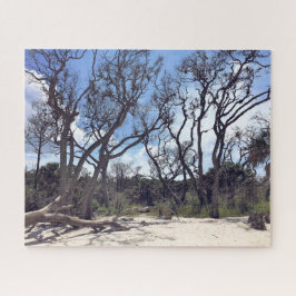 Driftwood Beach Quebra-cabeça