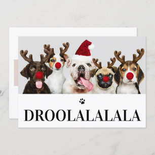 Droolalala Dog Cartão com fotos Natal 5