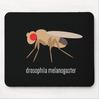 Drosófila Mousepad