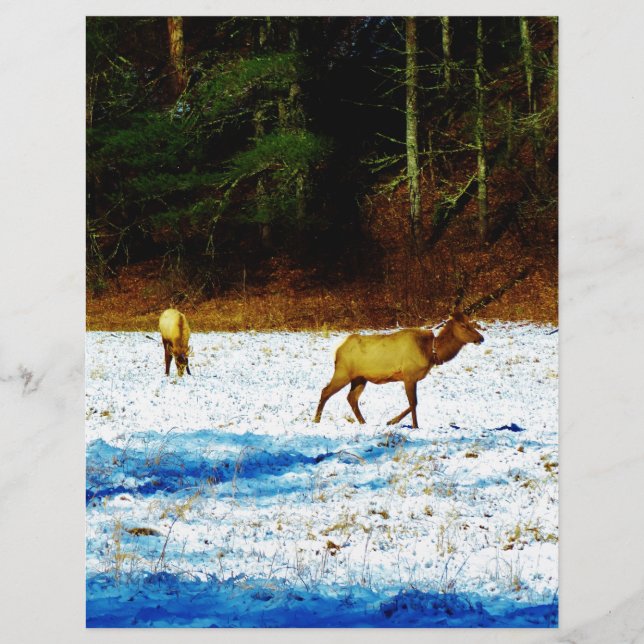 DSC00131.JPG (Frente)