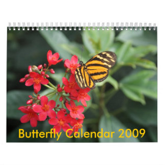 DSC00452, calendário 2009 da borboleta
