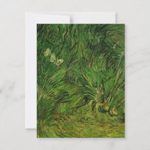 Duas Borboletas Brancas por Vincent van Gogh