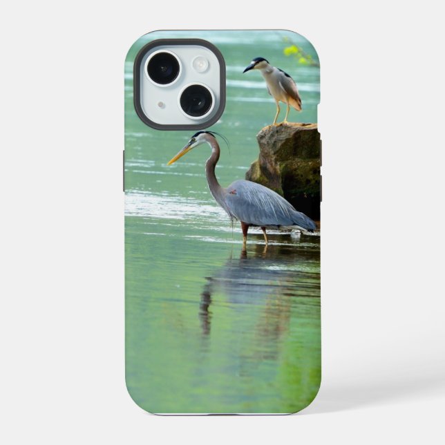Duas Garças pelo Rio (Verso)
