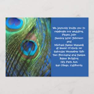 Duas penas azuis do pavão que Wedding o convite