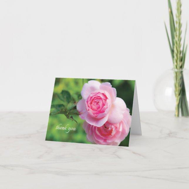 Duas Rosas Rosa, obrigado você - Cartão de Nota (Frente)