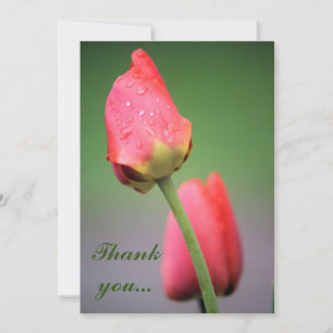 Duas Tulipas Rosa Obrigado Cartões