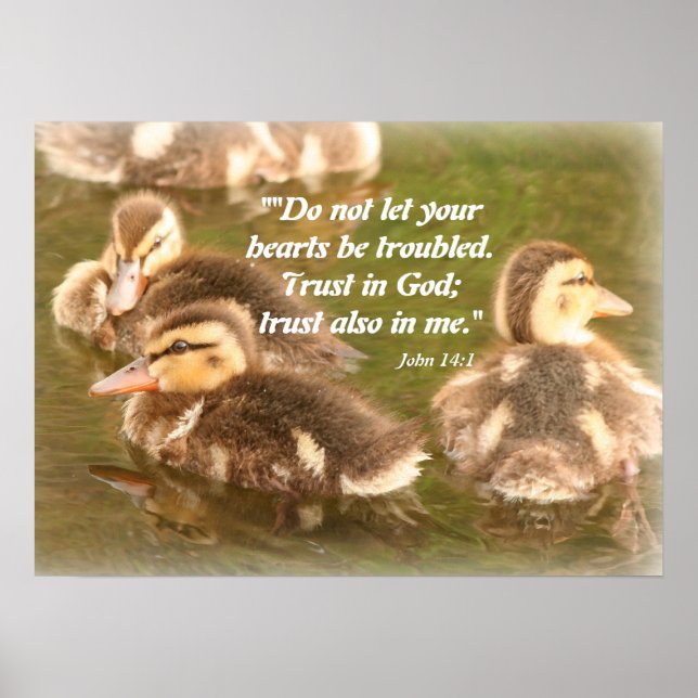 Ducklings Christian Poster (Frente)