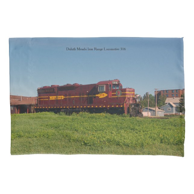 Duluth Mesabi Iron Range Locomotive 316 (Frente)