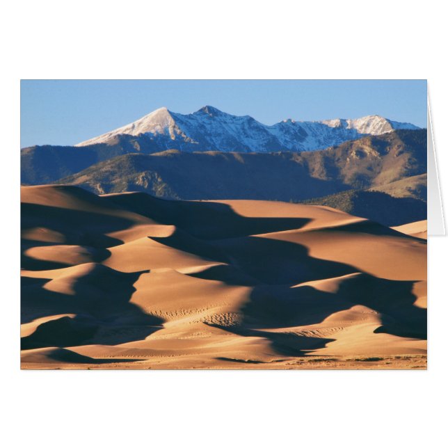 Dunas de excelente NP no Cartão de Vazio Sunset (Frente horizontal)