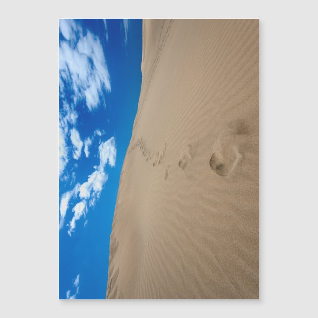 Dunas de Gran Canaria (Frente)