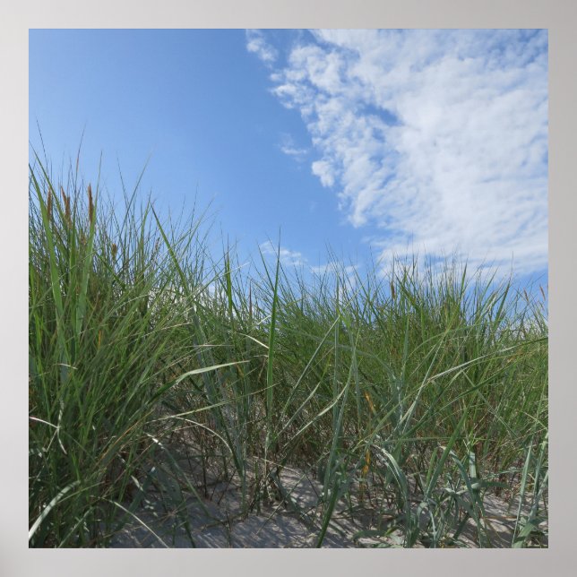 dunas, poster de areia (Frente)