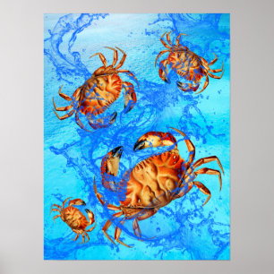 Dungeness Crabs Poster