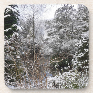 Duro de Árvores Neves Porta copos Plástico