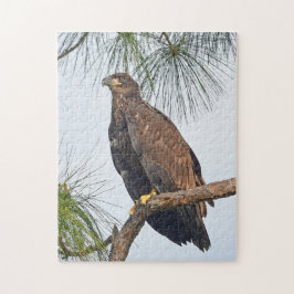E23 SWFL Eagle Cam Quebra-cabeça
