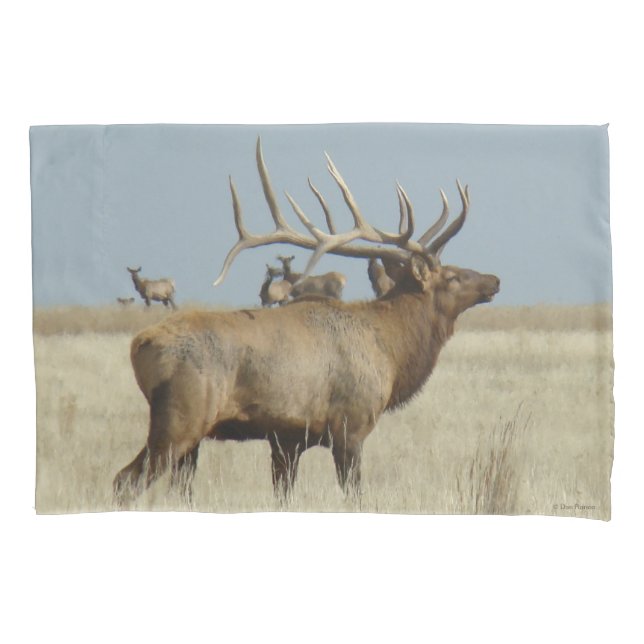 E4 Bull Elk Herd Master (Frente)